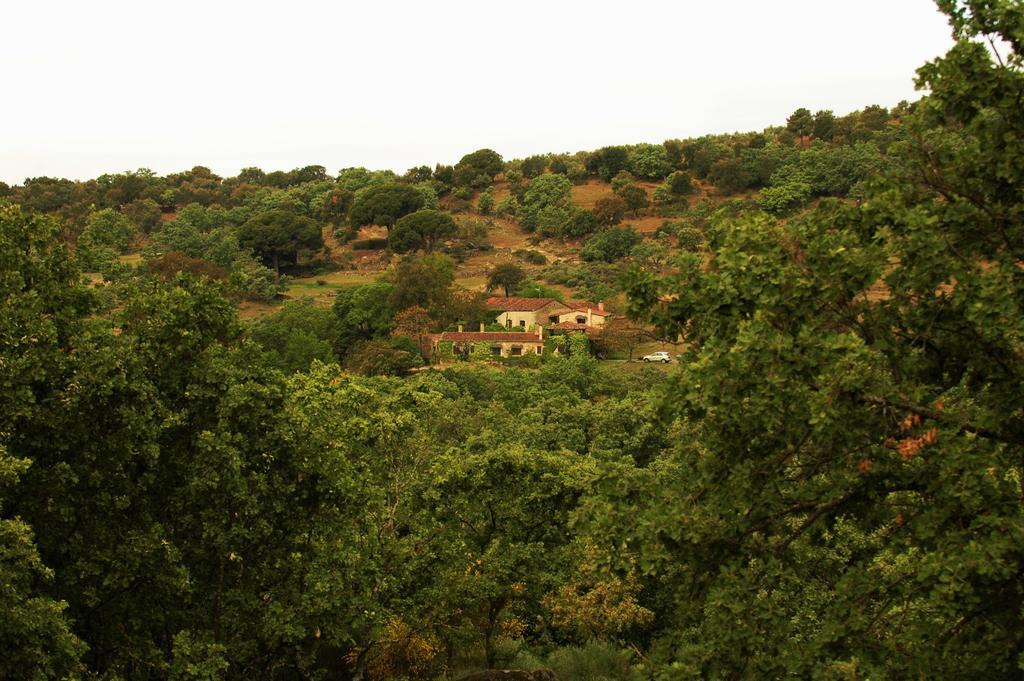 Casa Rural El Cabezo San Martin De Trevejo Exterior photo